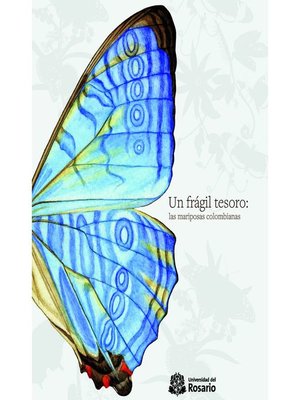 cover image of Un frágil tesoro
